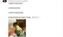 网友爆料粽子视频播放,揭秘传统美食制作过程
